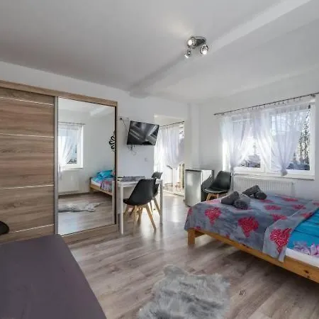 Apartment Studia I Wierchy