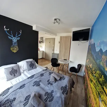 Studia I Wierchy Daire *