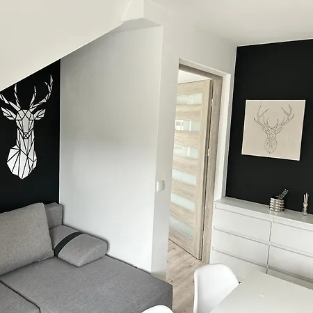 Daire Studia I Wierchy