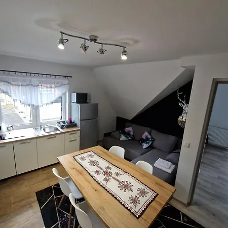 شقة Studia I Wierchy زاكوباني