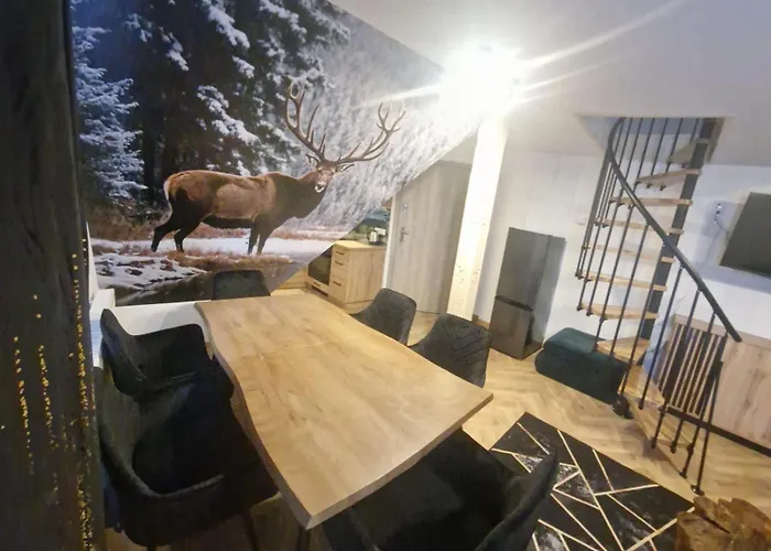 Studia I Wierchy * زاكوباني